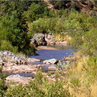 Water hole and jump off rock-Verde River